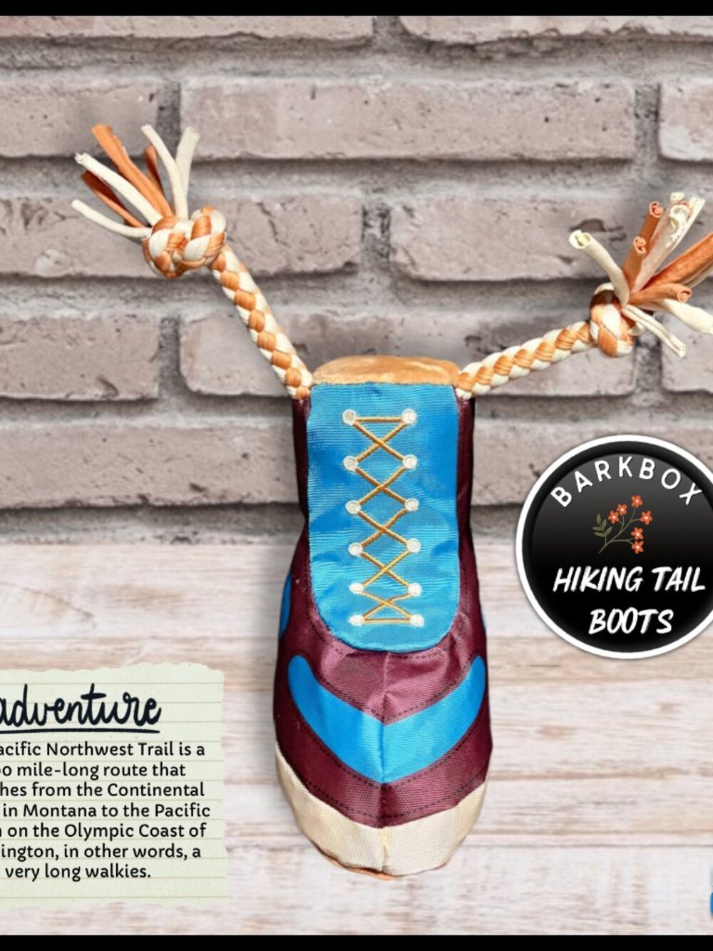 Bark Box Dog Toy Hiking Trail Tail Boot Shoe Medium Large M/L Squeak Crinkle Tug
